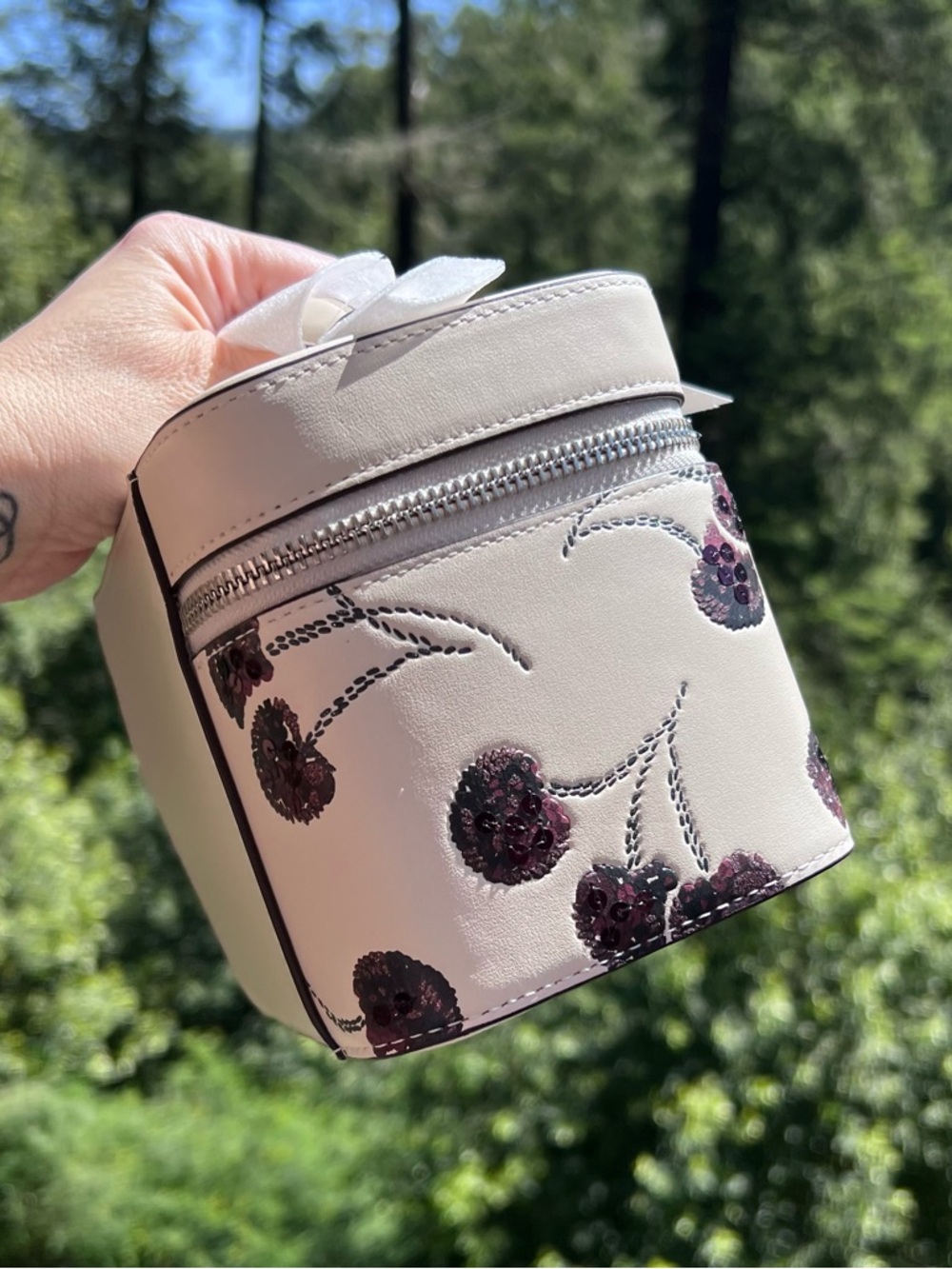 COACH Cosmetic & Make up Case w Cherry Print CDC13 AUTHENTIC New Coach Packaged - Picture 5 of 11